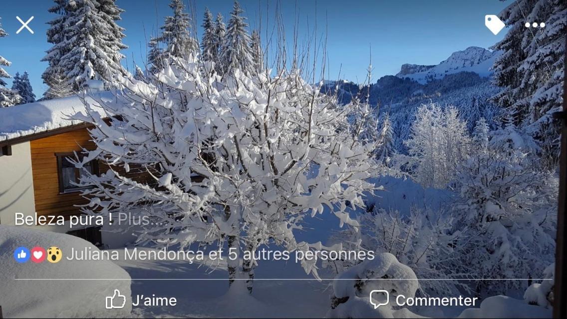 Route Des Joncs 300 Appartemen Les Paccots Bagian luar foto
